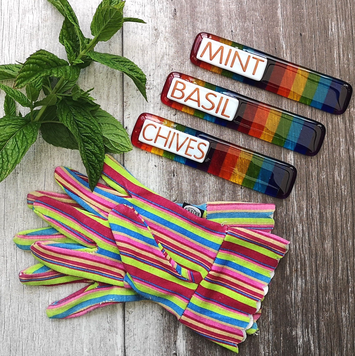 Gift for the plant parent. Picture of rainbow striped handmade fused glass plant labels. Herbs like mint, basil, chives.