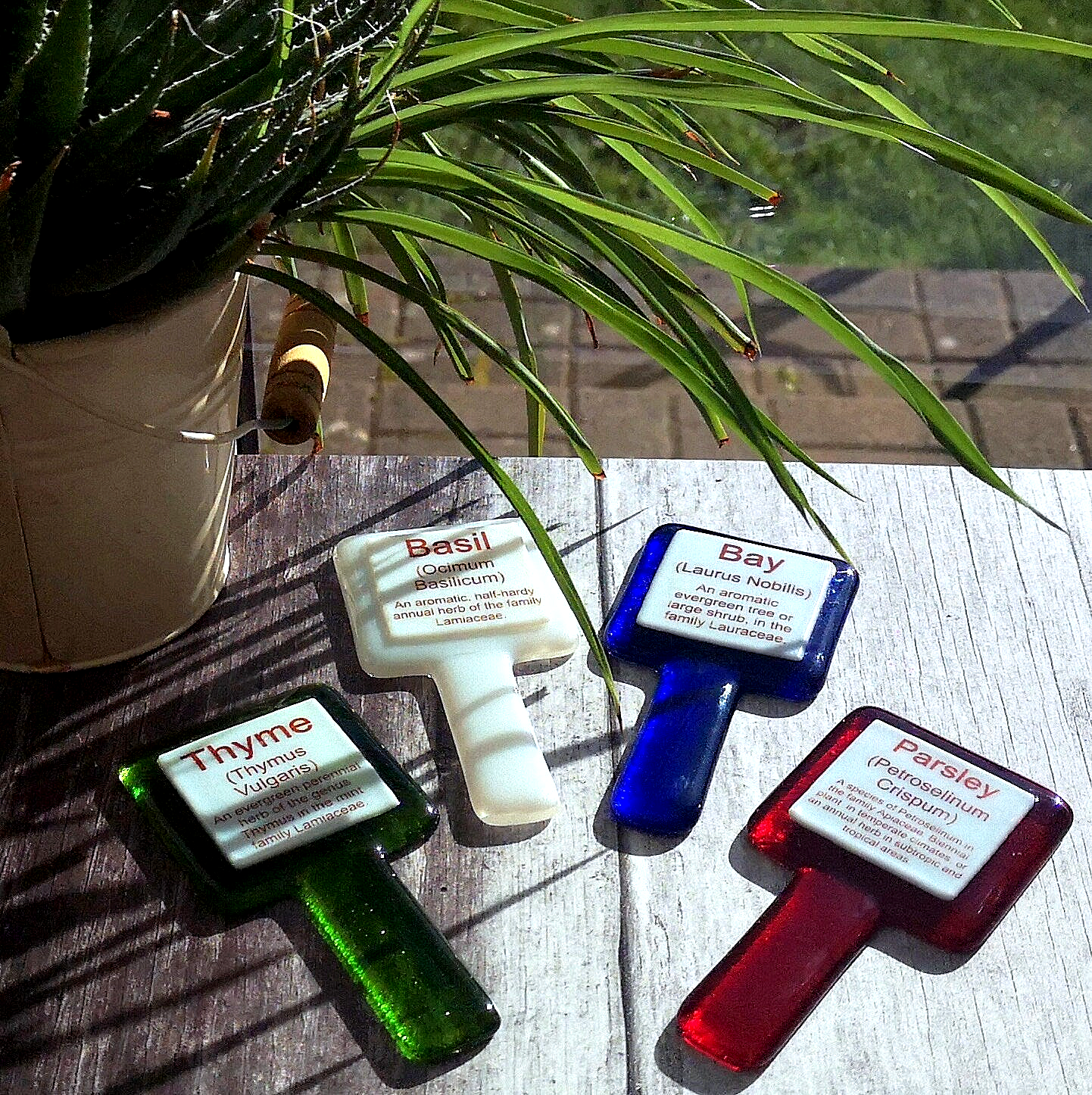 Handmade fused glass personalised Latin name plant label. Colourful plant marker. Botanical garden plant stake. Herb, vegetable, flower, fruit name.