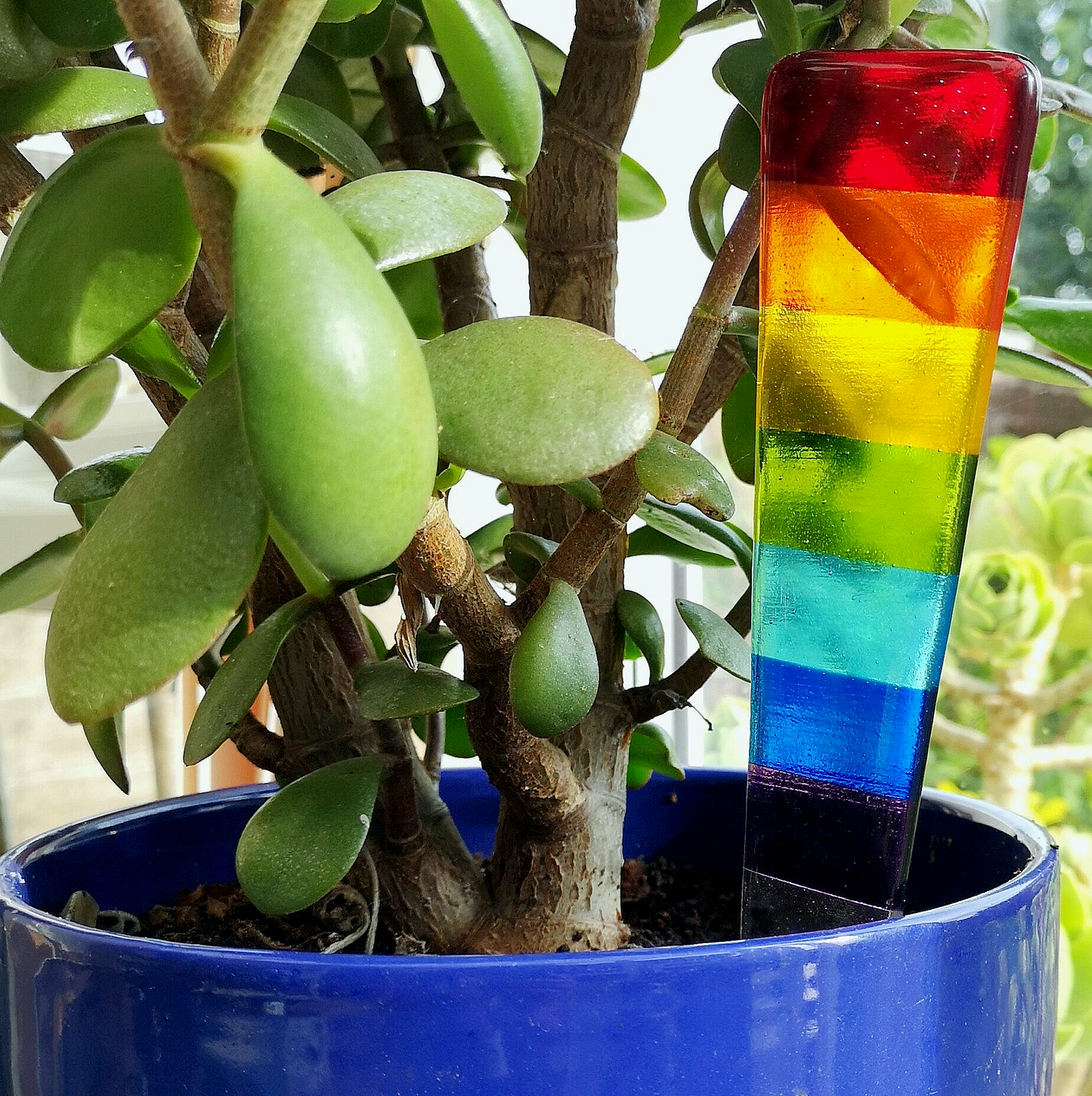 Handmade fused glass rainbow plant pot suncatcher. Colourful plant marker ornament. Rainbow striped plant stake. Herb, vegetable, flower, fruit garden.