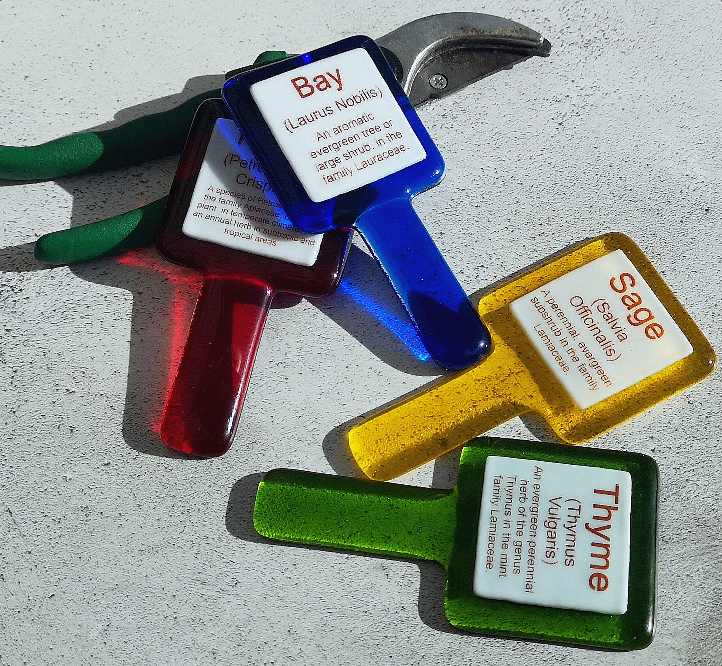 Handmade fused glass personalised Latin name plant label. Colourful plant marker. Botanical garden plant stake. Herb, vegetable, flower, fruit name.