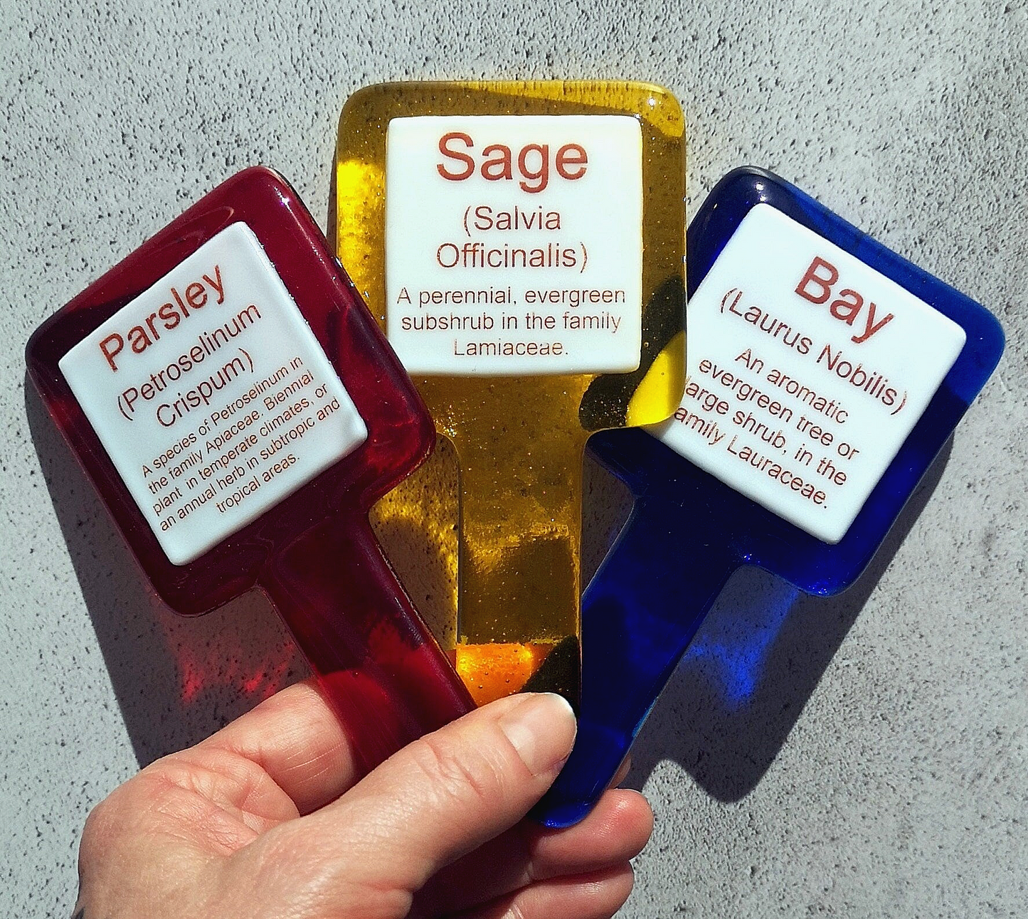 Handmade fused glass personalised Latin name plant label. Colourful plant marker. Botanical garden plant stake. Herb, vegetable, flower, fruit name.