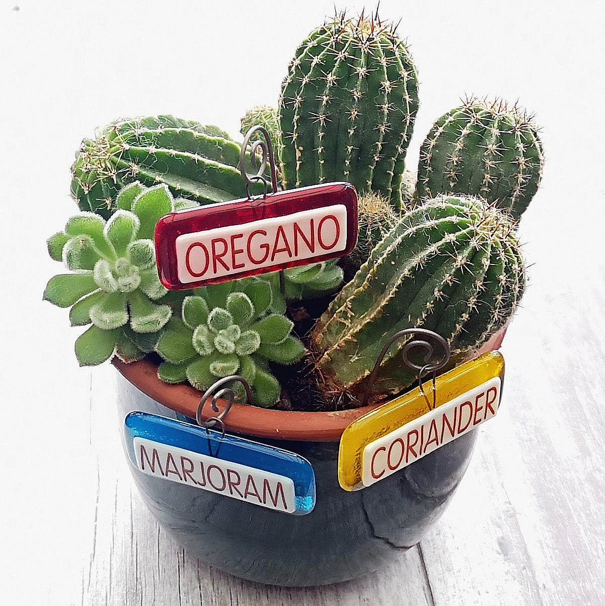 Handmade fused glass personalised hanging plant label. Colourful plant marker. Rainbow garden plant stake. Herb, vegetable, flower, fruit name.