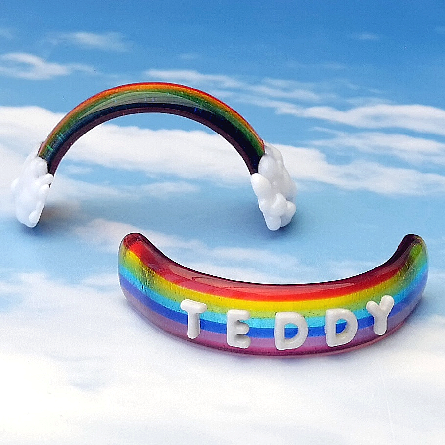 a rainbow shaped toothbrush with the word teddy written on it
