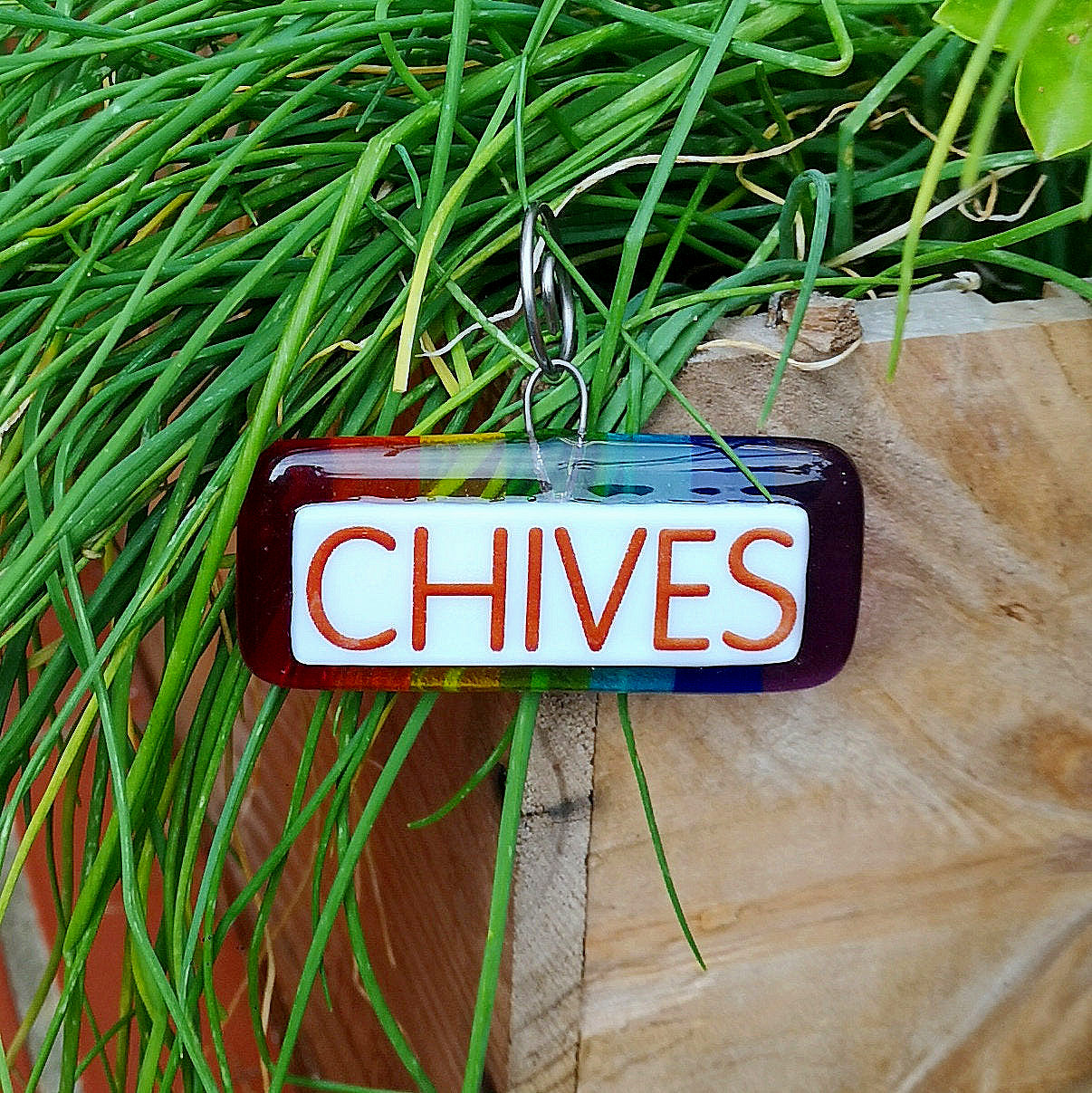 Handmade fused glass personalised hanging plant label. Colourful plant marker. Rainbow garden plant stake. Herb, vegetable, flower, fruit name.