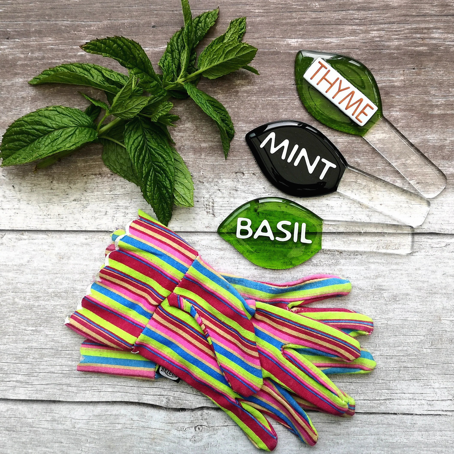 Handmade fused glass personalised plant label. Colourful plant marker. Leaf shaped garden plant stake. Herb, vegetable, flower, fruit name.
